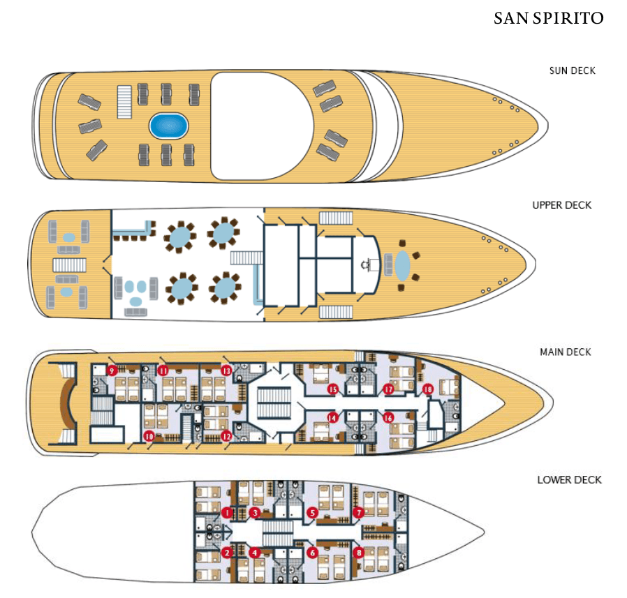 MS San Spirito